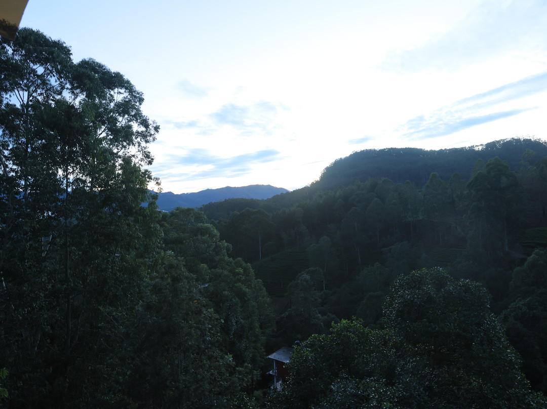 Ivory Canopy Resort-Ella