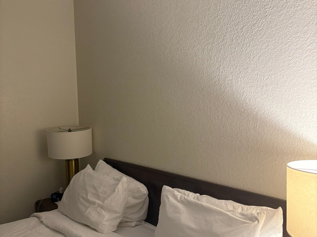 SpringHill Suites by Marriott Danbury主图