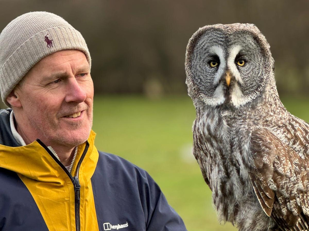 UK Owl And Raptor Centre-Groombridge必去景点