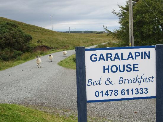 Borve酒店住宿-The Red Red Robin Cottage