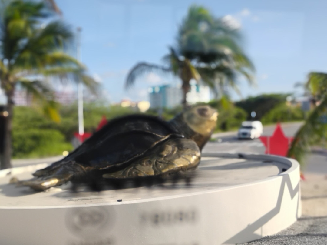 Fofoti Tours & Transfers-奥腊涅斯塔德必去景点