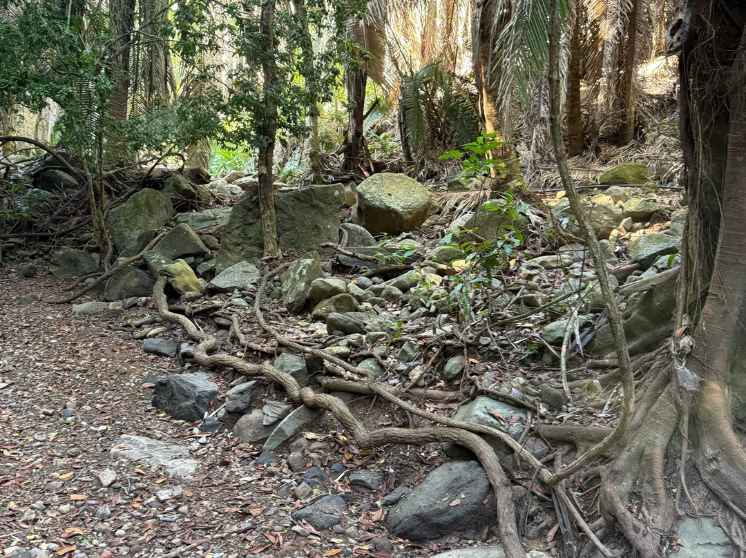 Mystic Embrace-Chacala必去景点