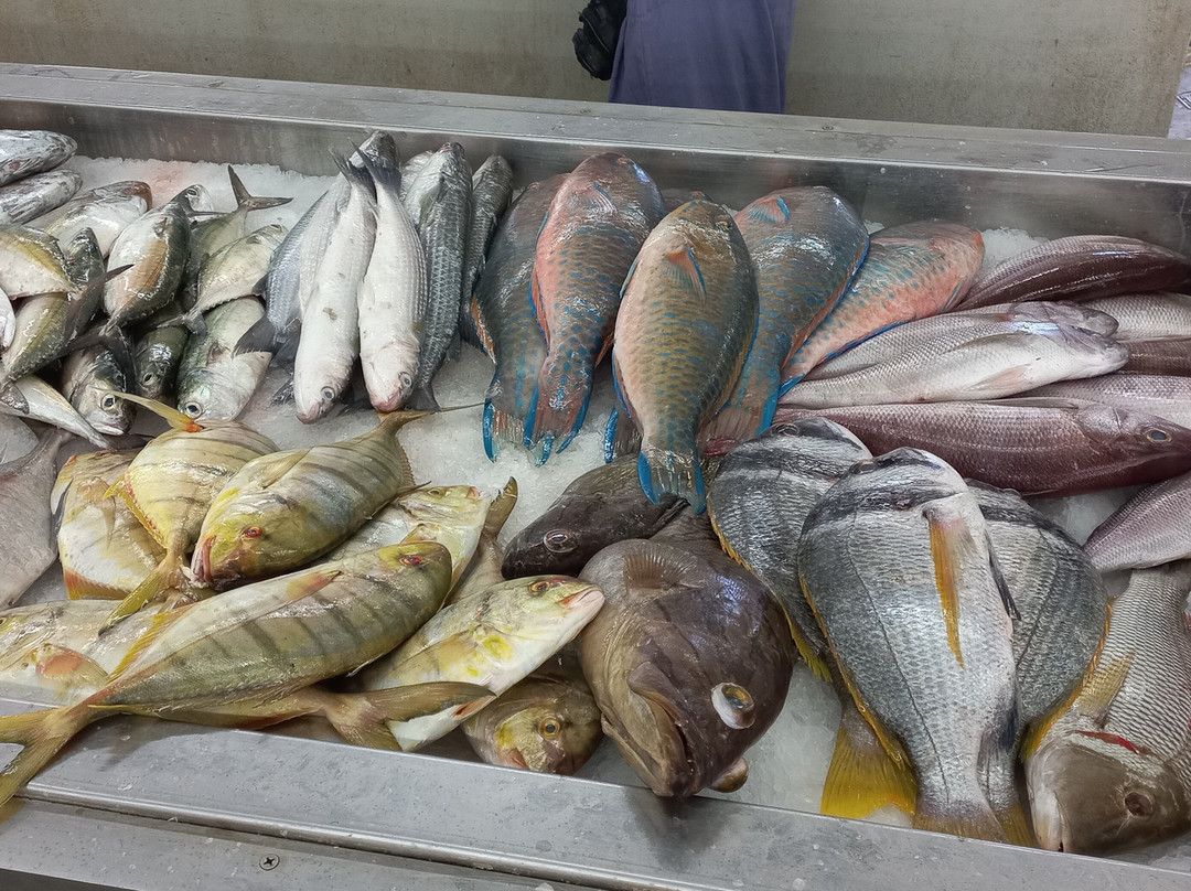 Mutrah Fish Market-马斯喀特必去景点