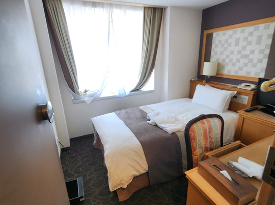 东京公园皇宫酒店主图