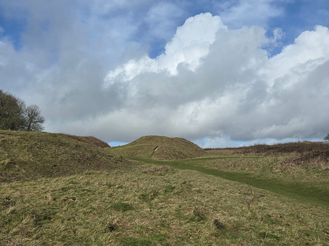Badbury Rings-Wimborne Minster必去景点