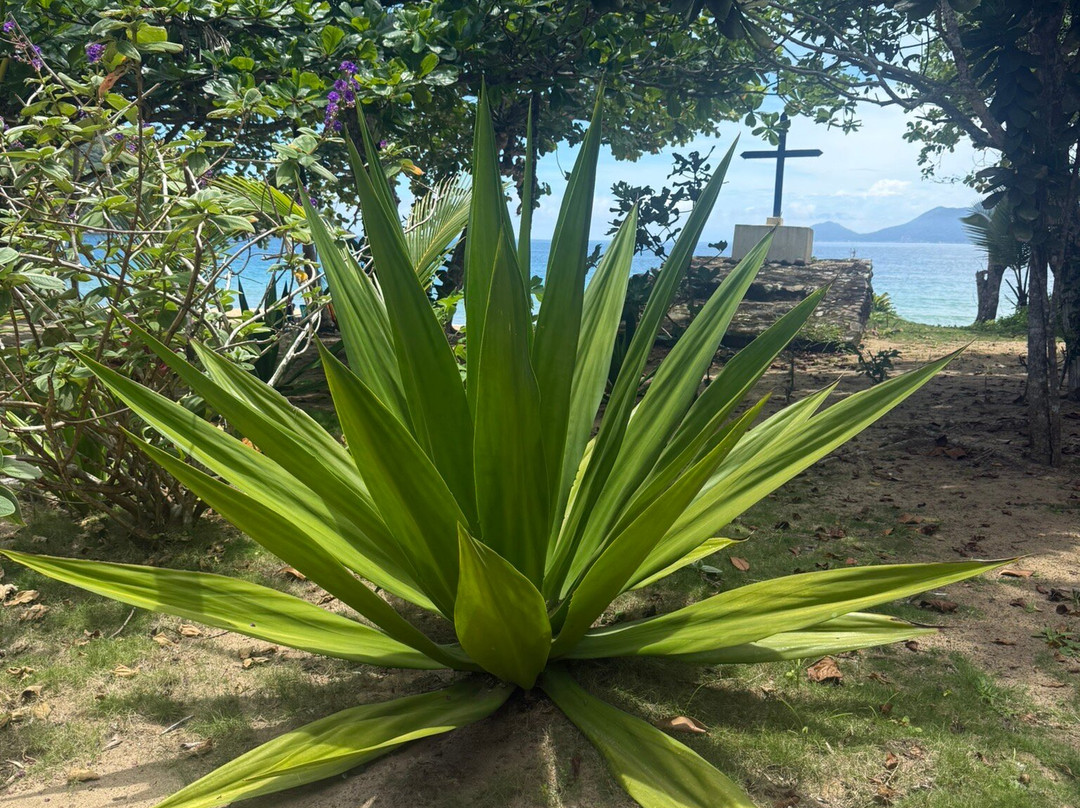 GEORGE OF THE JUNGLE ADVENTURE-格兰德岛必去景点