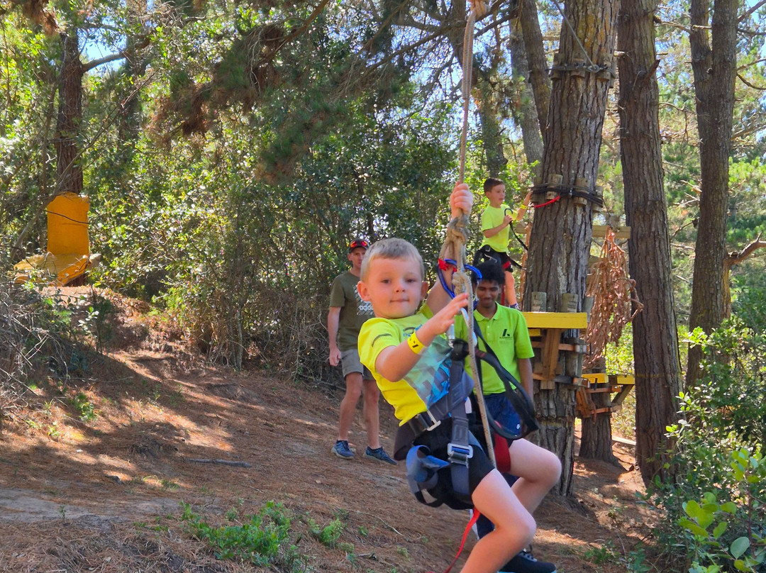 Acrobranch Garden Route-荒野必去景点