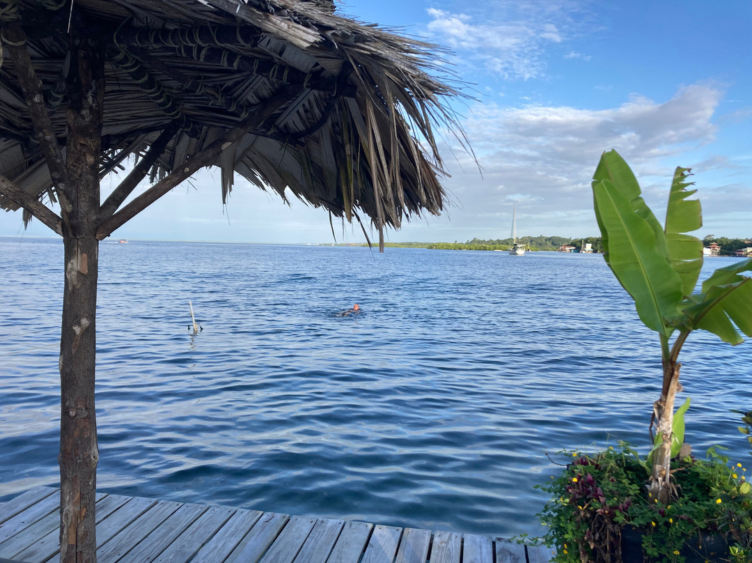 BarrBra BnB Over The Sea主图