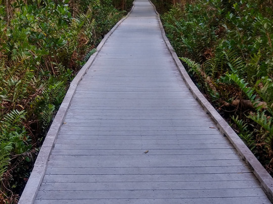 Four Mile Cove Ecological Preserve-开普科勒尔必去景点