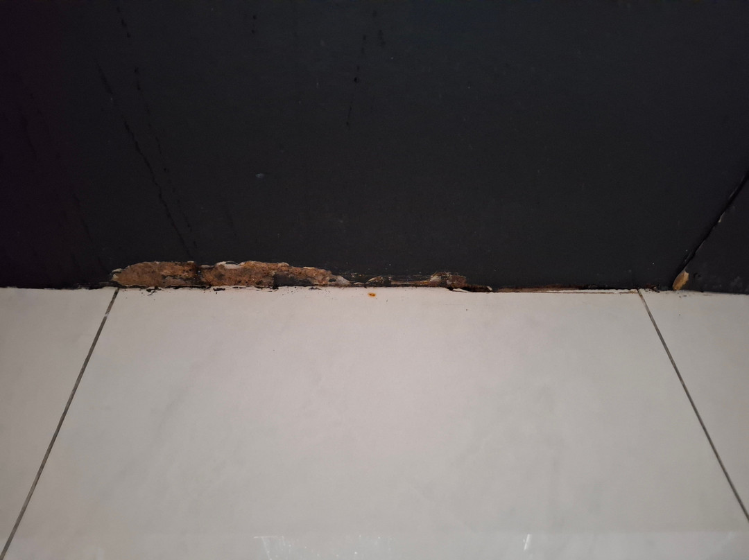 Hotel Balneario Orduna Plaza主图