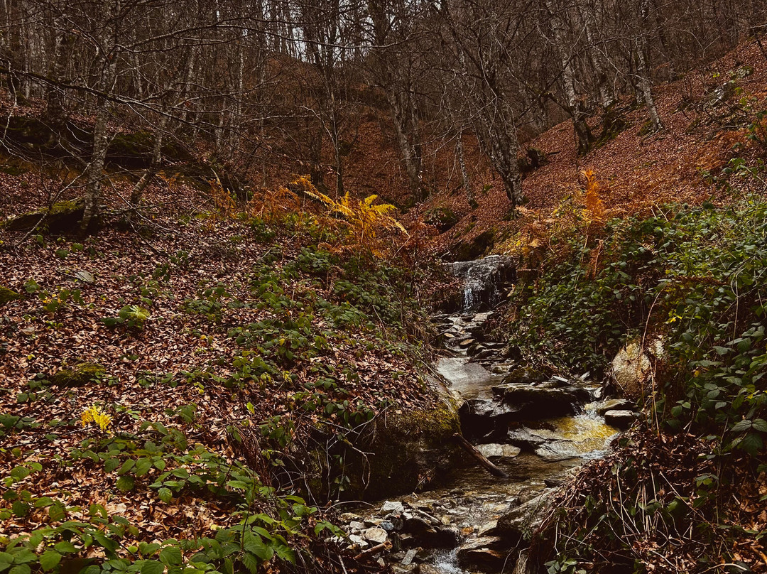 Atrion Hotel Elatochori主图