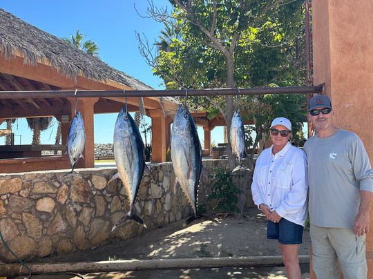 Gordo Banks Pangas-圣何塞卡波必去景点