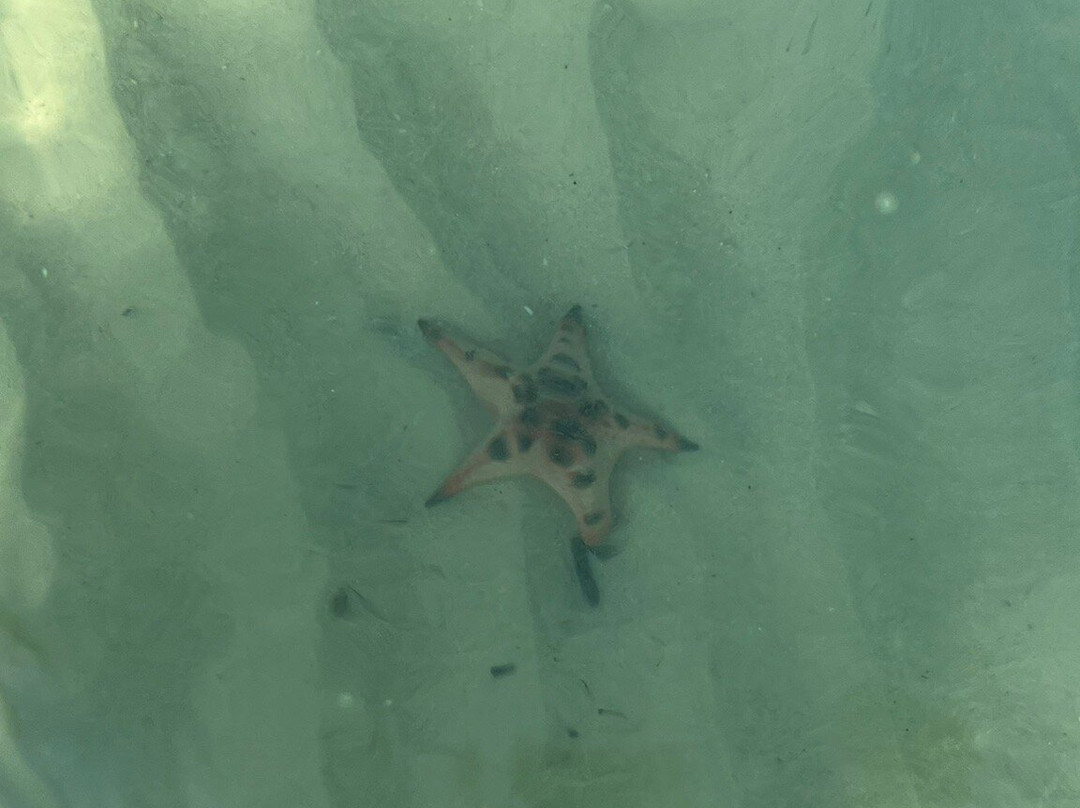 海星沙灘-Ganh Dau必去景点