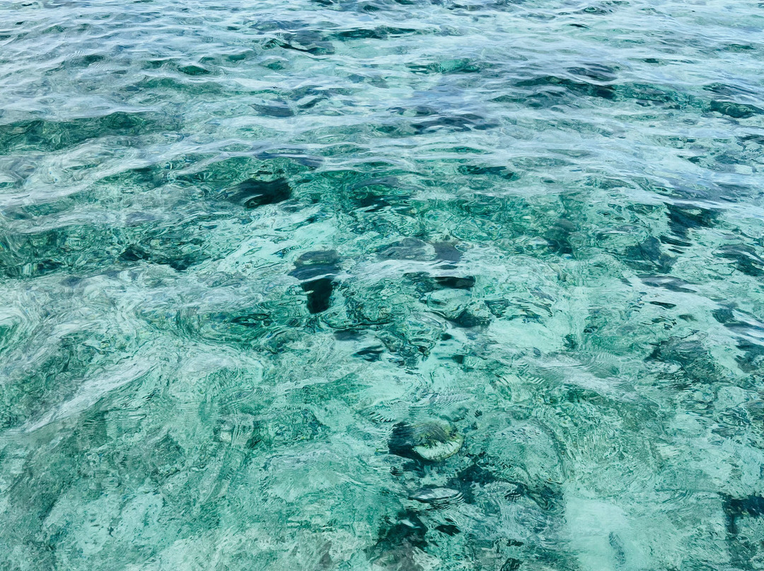 The Pearl Cruise-贝尔欧布莱必去景点