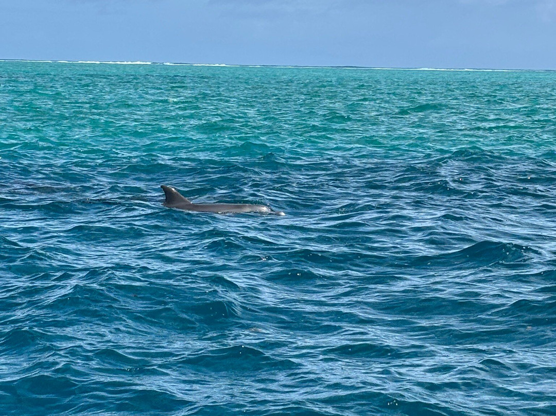 Speed Boat Seaduction-马喜埔必去景点
