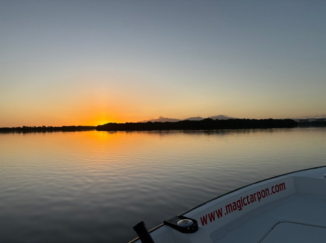 Puerto Rico Magic Tarpon-圣胡安必去景点