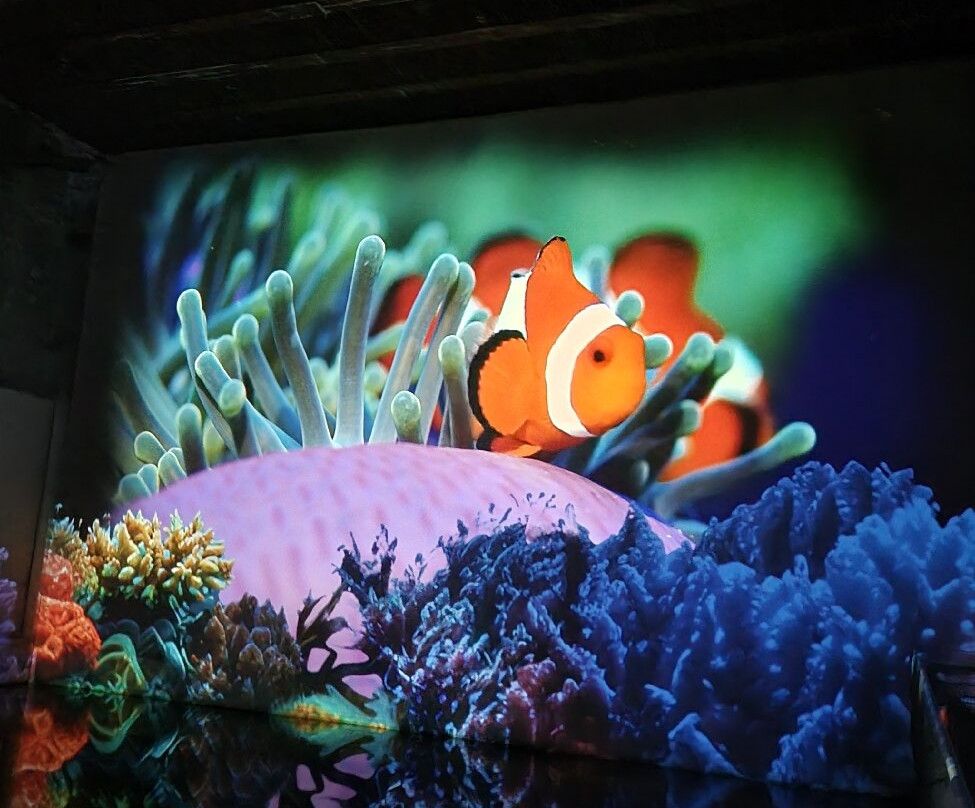 Bassins De Lumières-波尔多必去景点