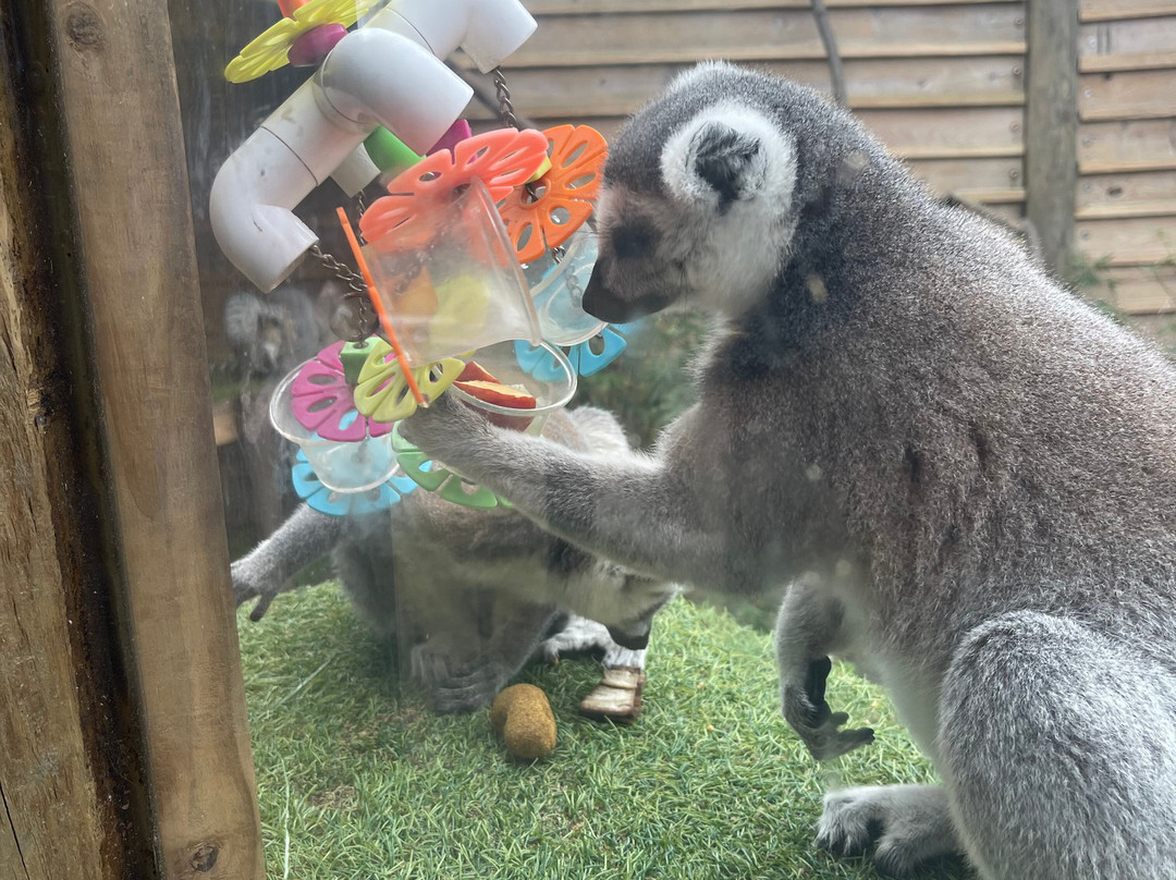 North Florida Wildlife Center-Lamont必去景点