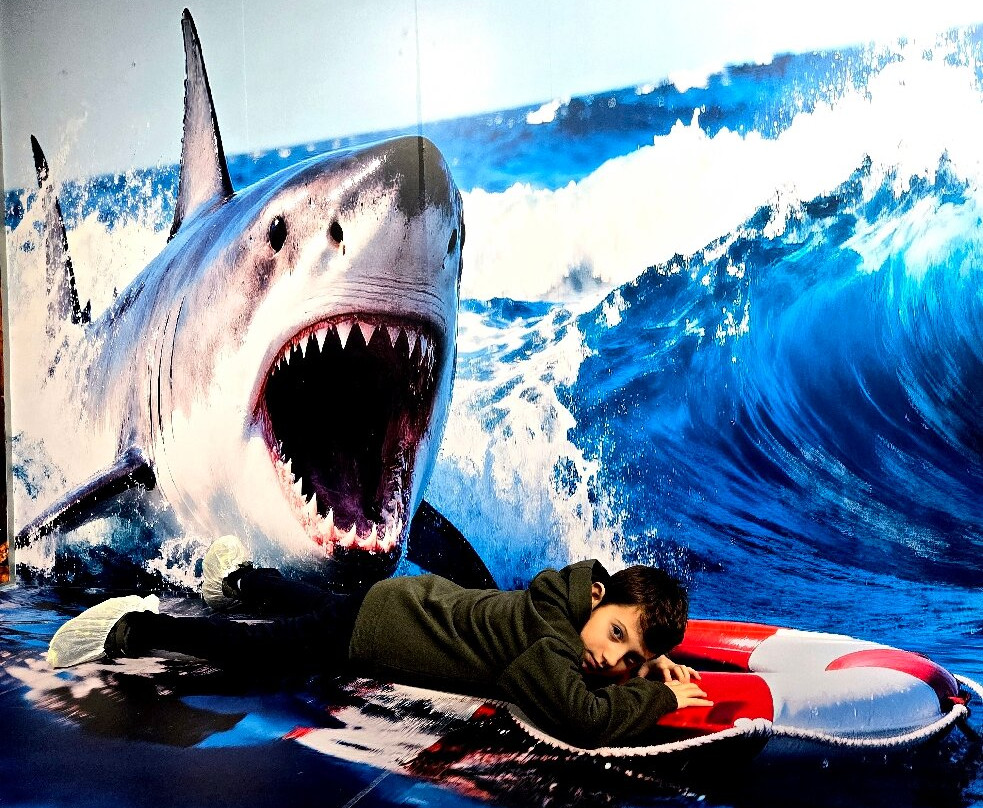 MiM - Muzeul Imaginației Maramureș-Sighetu Marmatiei必去景点