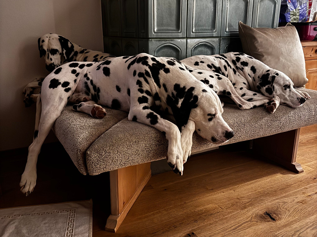 Bergheimat Hotel主图