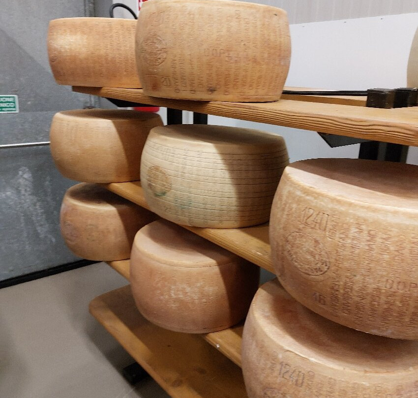 4 Madonne Caseificio dell'Emilia-摩德纳必去景点