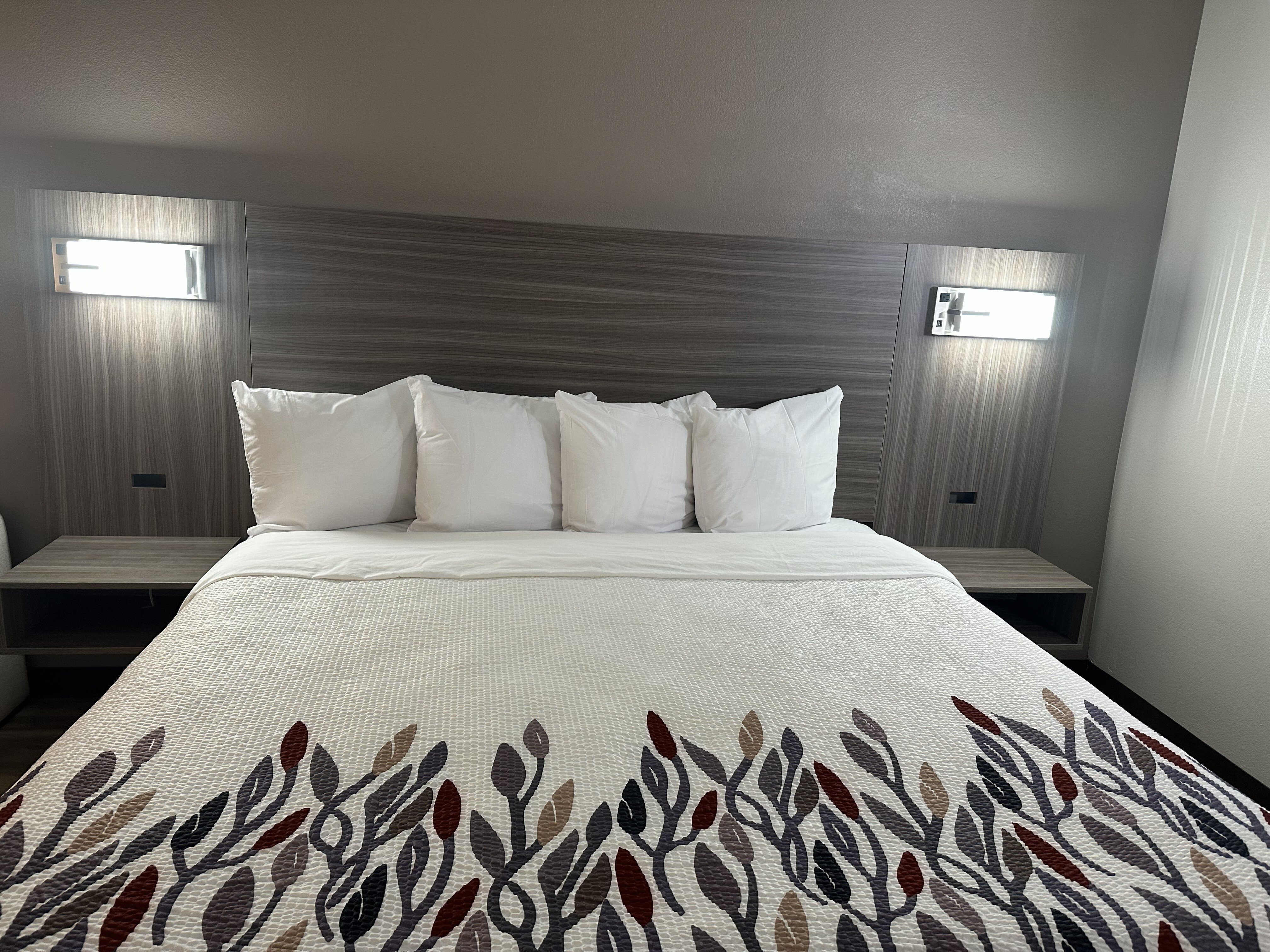 Red Roof Inn & Suites Middleborough-客卧