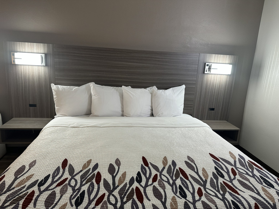 Red Roof Inn & Suites Middleborough主图