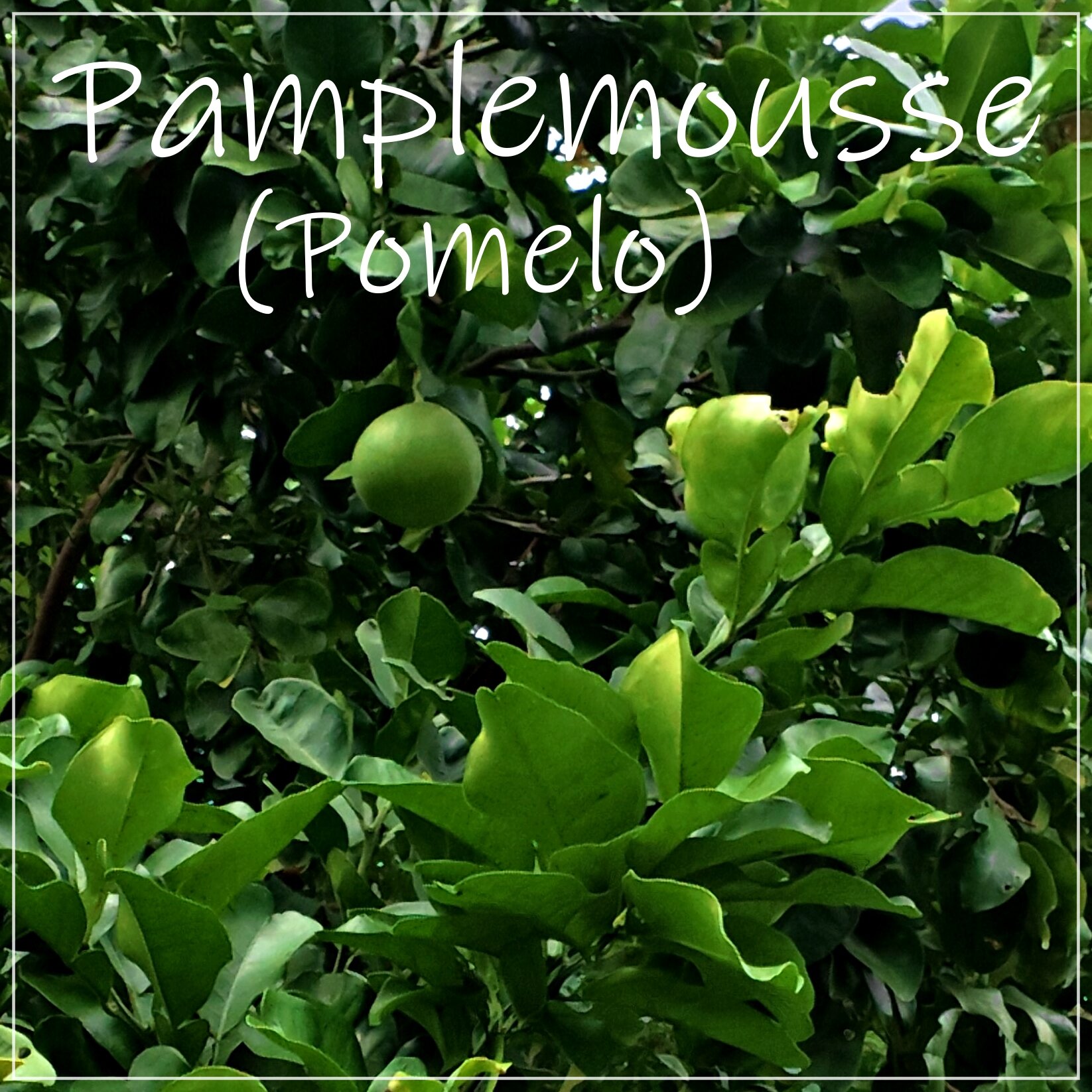 Rockwater Resort-浴室