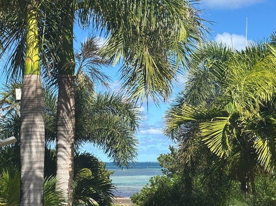 Le Village de la Pointe主图