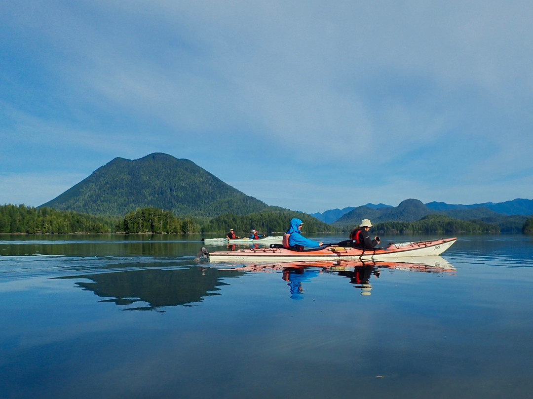 Tofino Sea Kayaking Day Tours-托菲诺必去景点