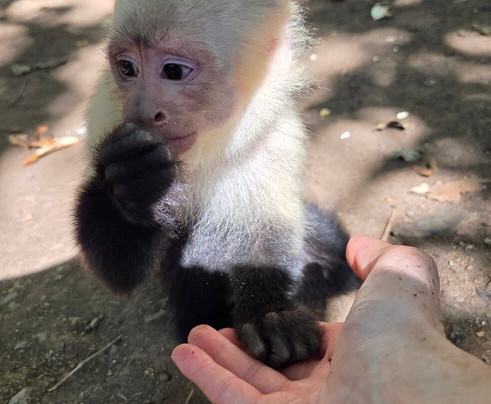 Mango's Adventures-艾拉杜拉必去景点