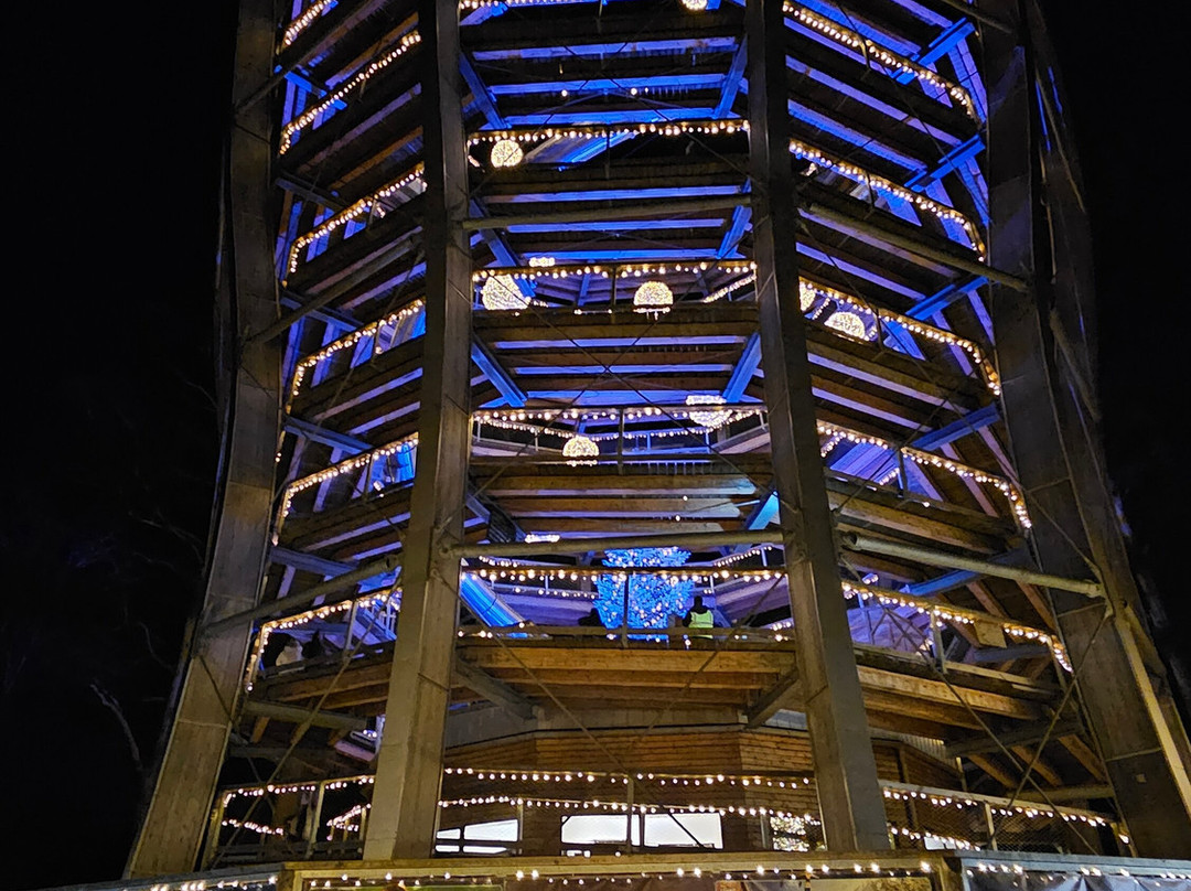 Treetop Walk Avondale-Rathdrum必去景点