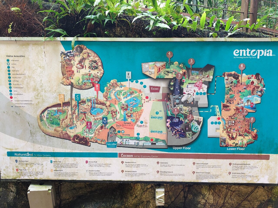 蟲鳴大地-巴巷海滩必去景点