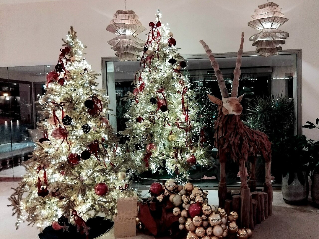 Playa de Jandia酒店住宿-Iberostar Selection Fuerteventura Palace