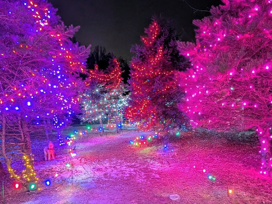 Indian Acres Tree Farm-Medford必去景点