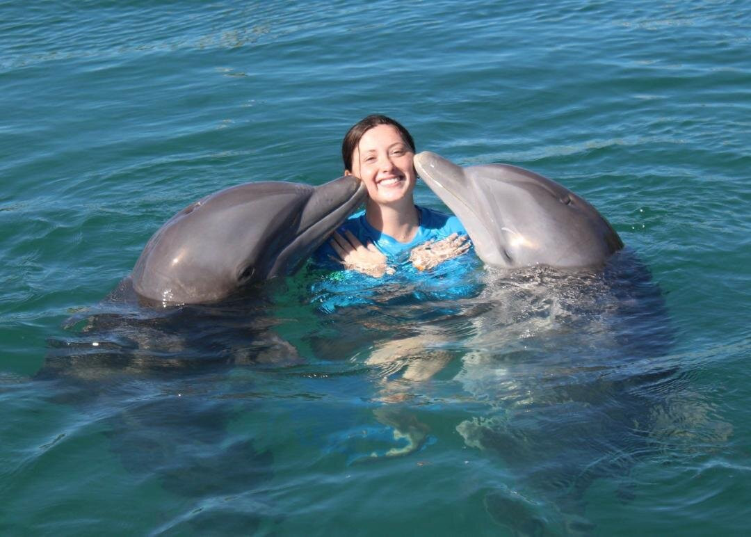 The Dolphin Experience-弗里波特必去景点