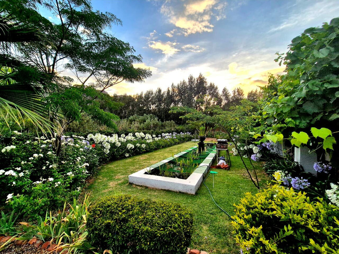 Vineyard Country House主图