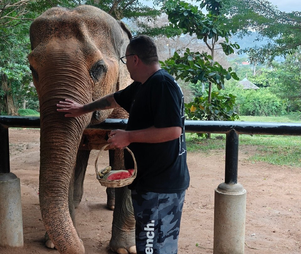 Samui Elephant Sanctuary-波普特必去景点