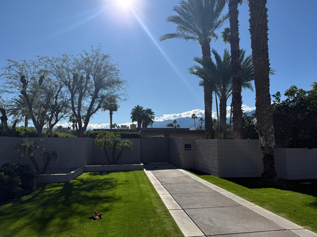 Palm Springs Mod Squad-棕榈泉市必去景点