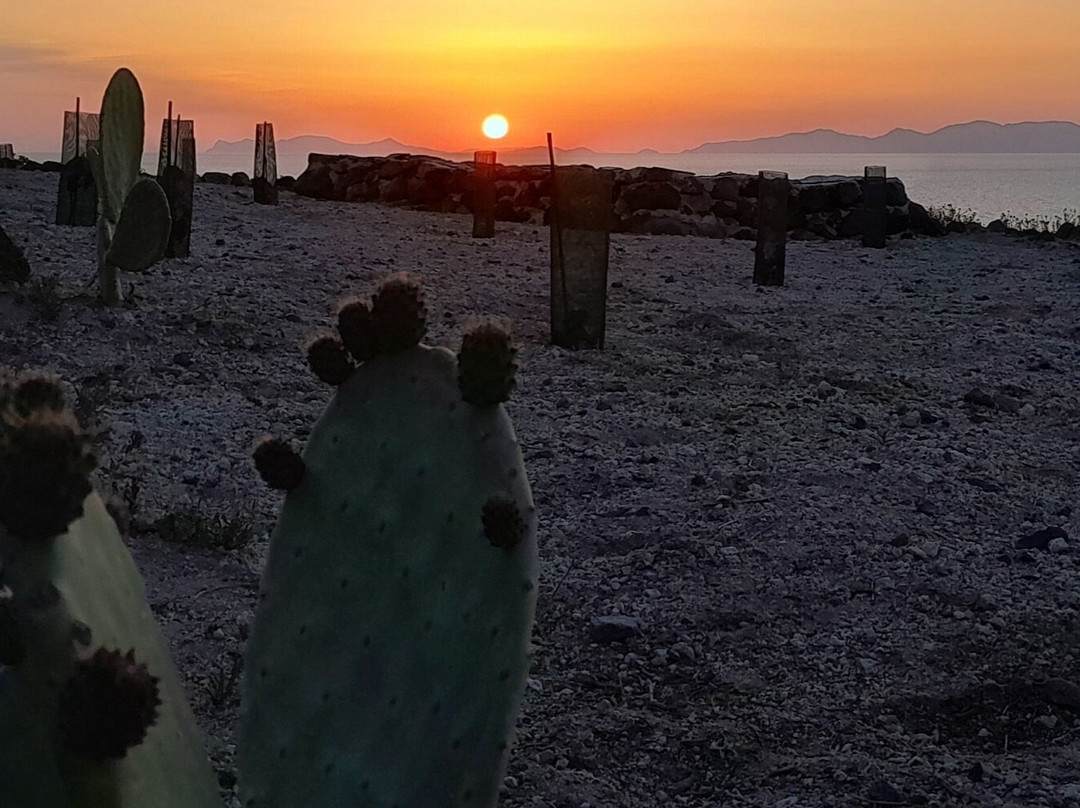 Sant Organics-伊亚必去景点
