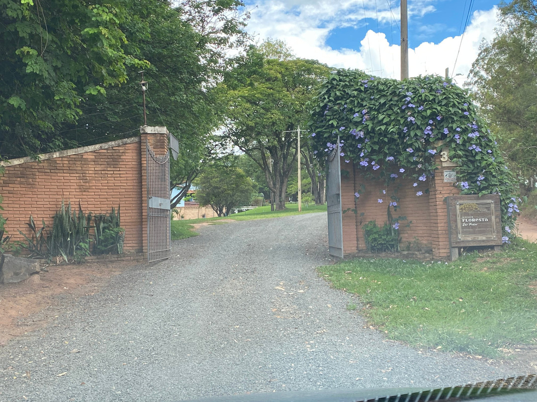 Vinicola Floresta São Pedro