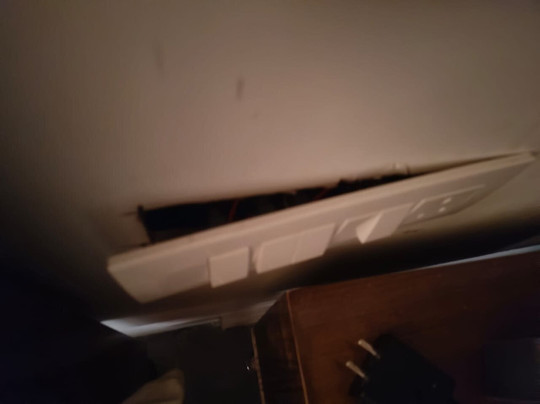 The Jungle Pool主图