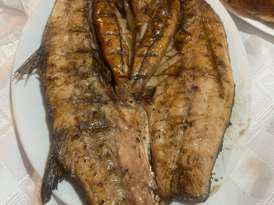 Messolonghi by Locals-Mesolongion必去景点