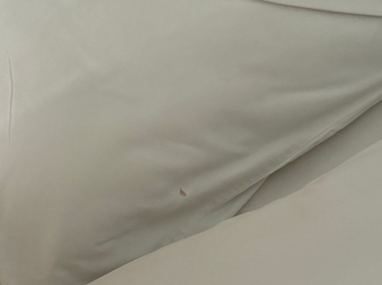 Ubud Tropical Garden 2主图