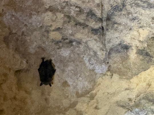 Jezuïetenberg-马斯特里赫特必去景点