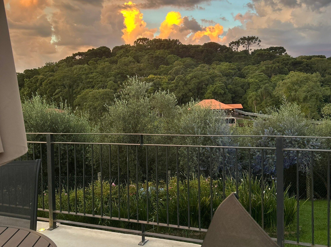 Hotel Vinícola Davo主图