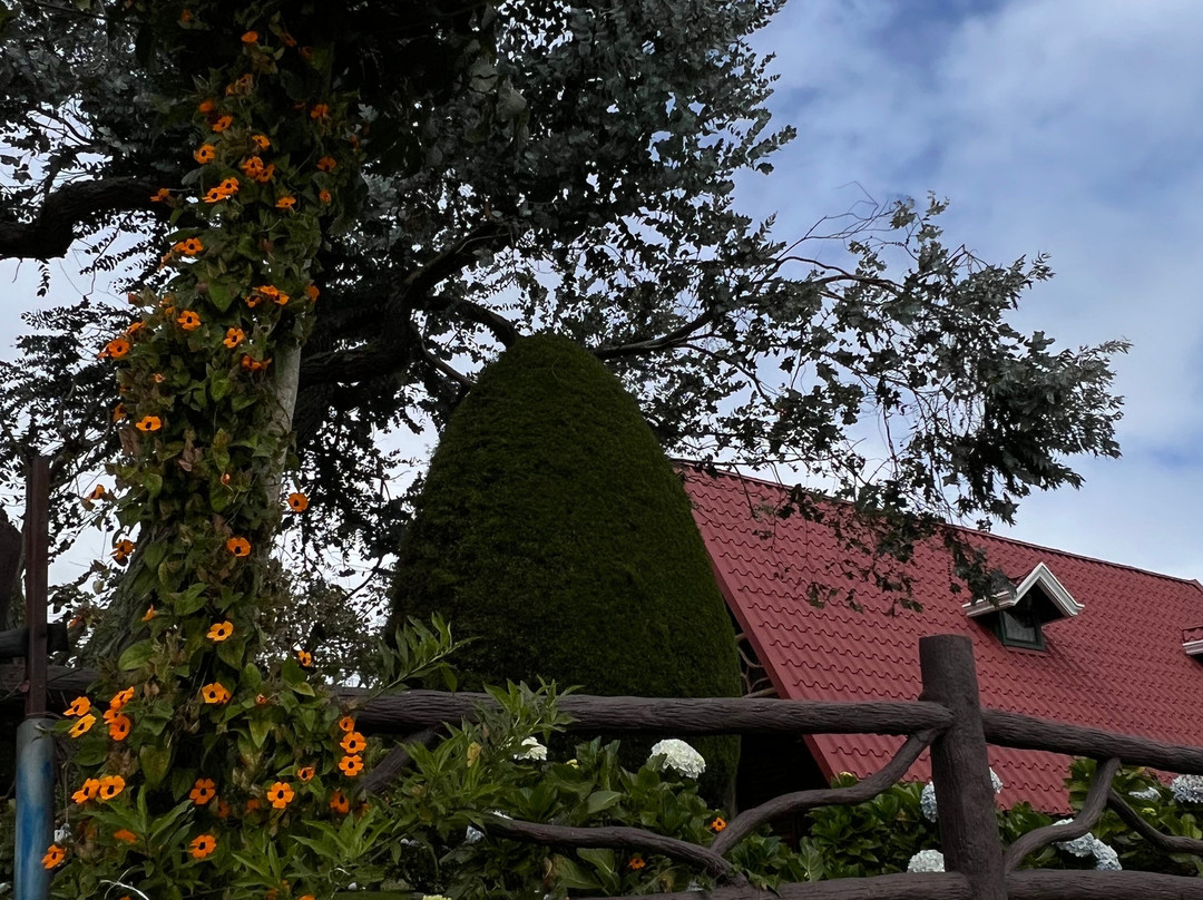 Arenas Travel Costa Rica-埃斯卡松必去景点