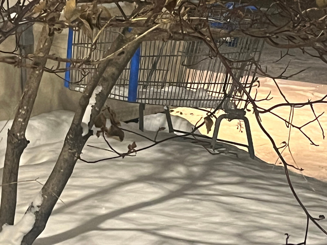 Super 8 by Wyndham Bemidji MN主图