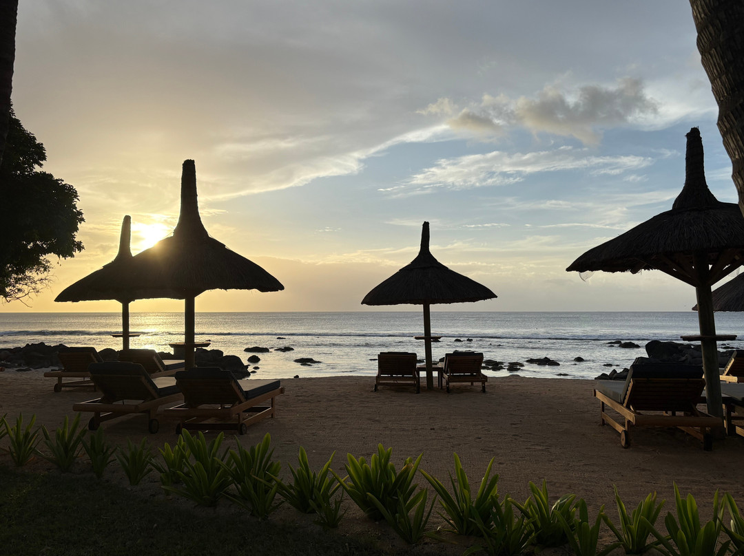 Noble House Restaurant