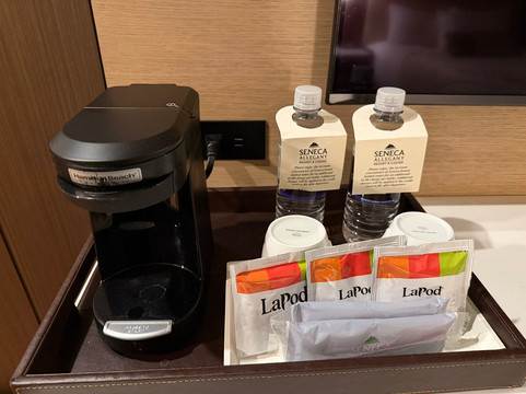 塞内卡阿勒格尼 度假村主图